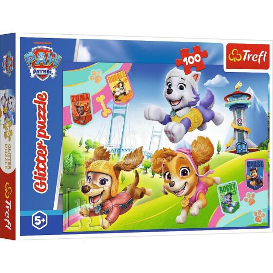 Toi Toys Paw Patrol Art.T-1448 Puzle,100 gab