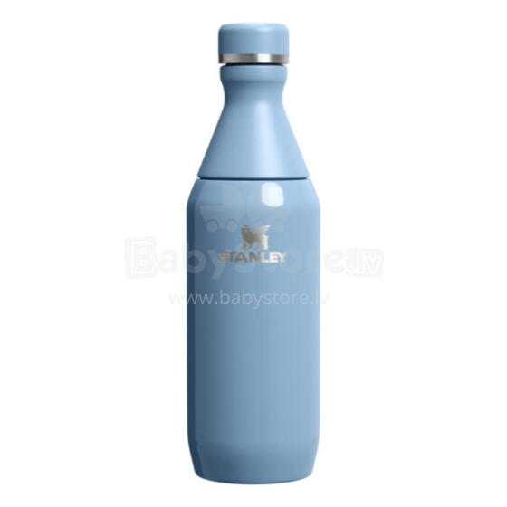 Thermos The All Day Slim Bottle 0.35L glossy blue-violet