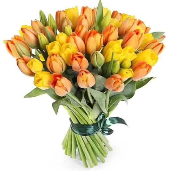 Fresh La Petit Fluer Art. LPT-TR51 Fresh Red Tulips Bouquet – 21 pcs (delivery next day to Pērnavas 5)