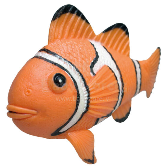 Rep Pals, Clown Fish