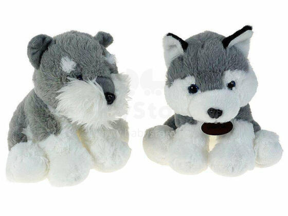 Plush toy - 596795  - HUSKY - size 21 cm