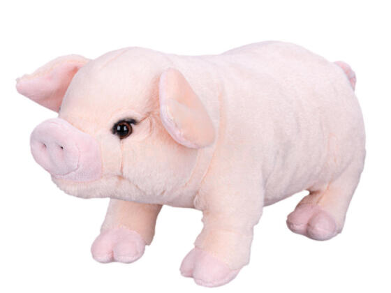 Mīkstā rotaļlieta - 01506 - Cūciņa - izmērs 25 cm