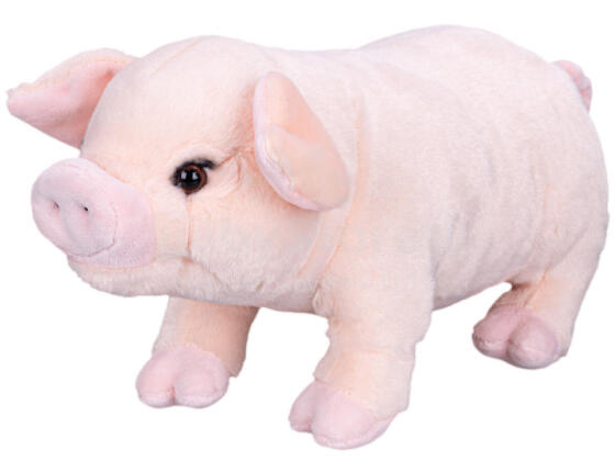 Mīkstā rotaļlieta - 01513 - Cūciņa - izmērs 33 cm