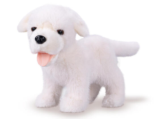 Mīkstā rotaļlieta - 04569 - SUNS - LABRADORS - BALTS - izmērs 23 cm