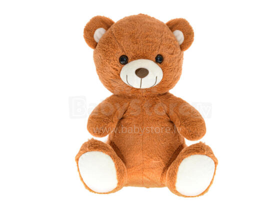 Plush toy  - 39905 - TEDDY BEAR - size 30 cm