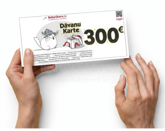 Gift Card Web Art.135697  Elektroniskā dāvanu karte 300 EUR