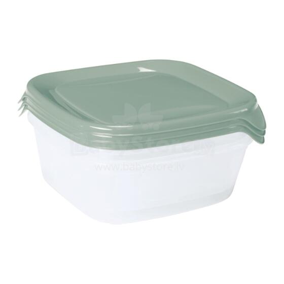 Food container set 3 pcs. square 3x0.8L Fresh&amp;amp;Go green