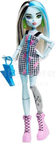 Monster High Фрэнки Штейн – кукла с 11 точками подвижности и аксессуарами