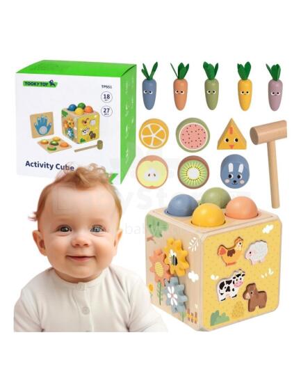 Деревянный образовательный куб 5в1 Tooky Toy