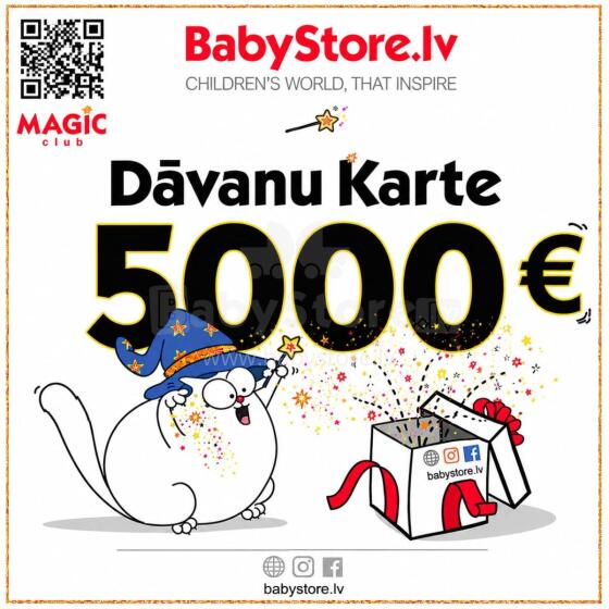 Gift Card Web Art.291456  Elektroniskā dāvanu karte 5000 EUR
