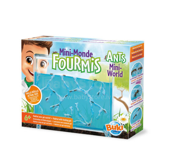 Buki Ants Mini-World
