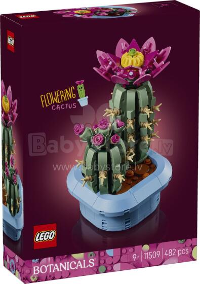 LEGO Ботаника Цветущий Кактус