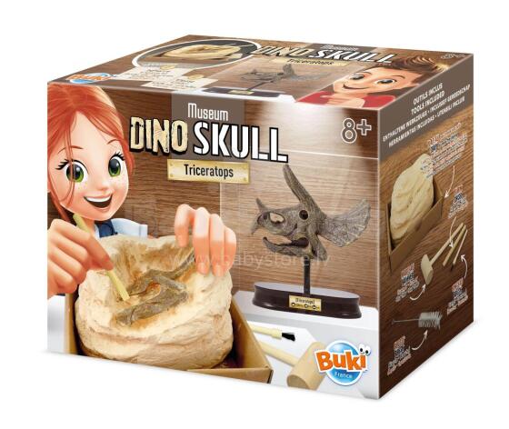 Buki muzeja Triceratops galvaskauss