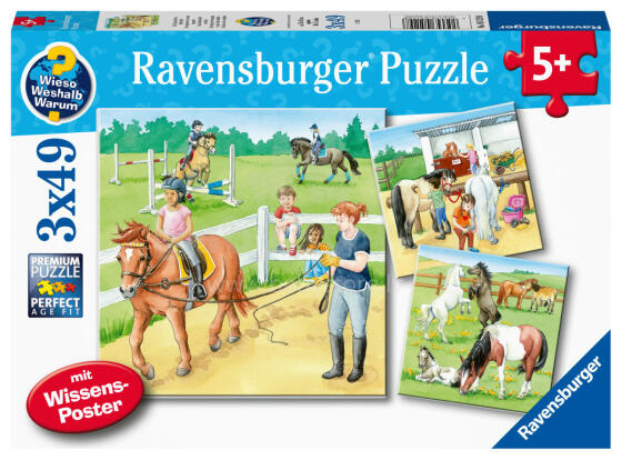 Ravensburger puzle 3x49 gabali: zirgi