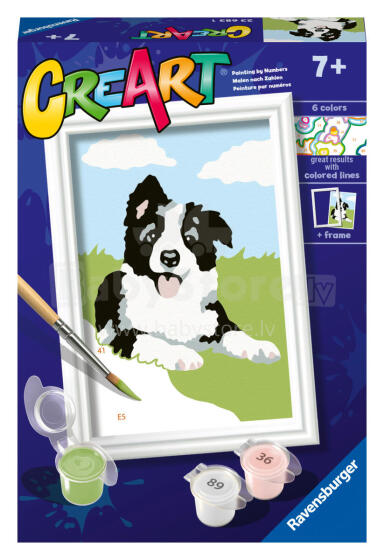 Ravensburger Рисуй по номерам Бордер Колли