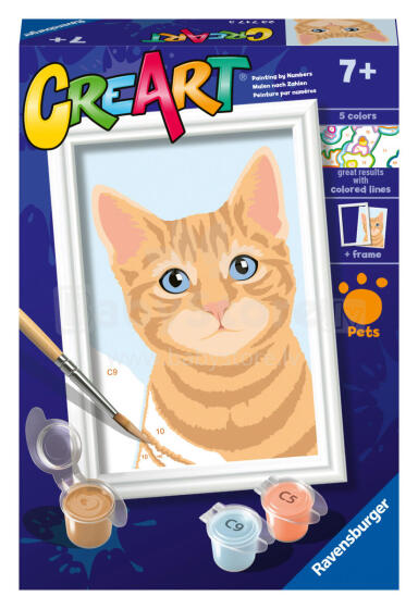 Ravensburger Paint by Numbers Orange Tabby