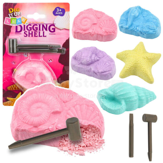 Marine Archaeology Kit Marine Fossils Shells Tools