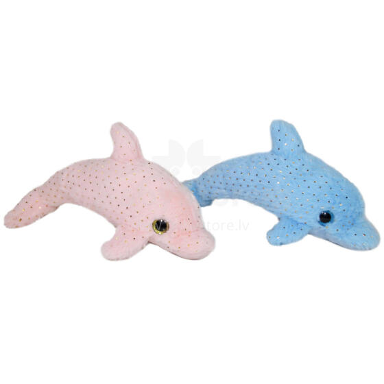 DELFIN 2 KOLORY