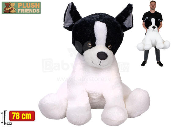 Mīkstā rotaļlieta - 03166 - FRANČU BULDOGS - izmērs 78 cm