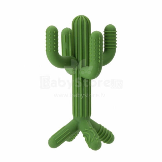 Teether - 584262 - Cactus 3D