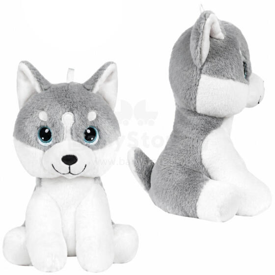 PIES HUSKY