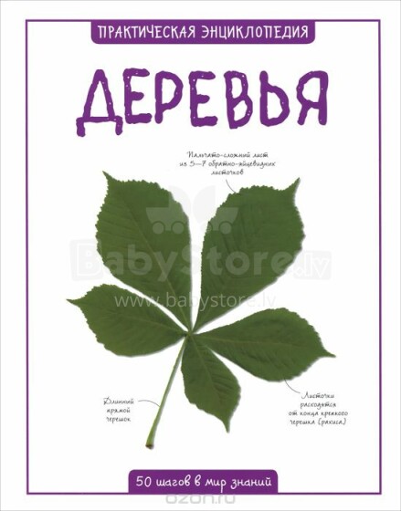 Enciklopēdija 'Koki' (Krievu valodā)