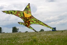 Hall Air Kite  Art.111380 Lidojošais gaisa pūķis
