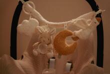 Цепочка-игрушка для коляски Little Dutch Newborn Naturals Art.8411