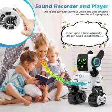 Anysun Intelligent RC Robot with Touch Art.138327  Interaktīvais robots