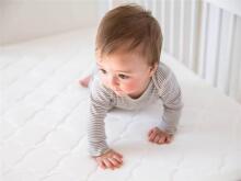 Bebe Basics Baby Matress Coco Plus Art.15701 Matracis kokvilna - kokosškiedra - airfiber  - kokvilna [161x62]