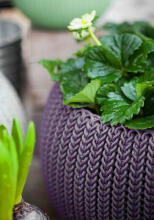 Puķu pods karināms Cozy M With Hanging Set violets