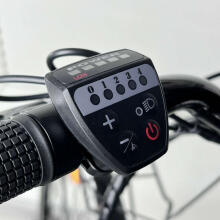 Elektro velosipēds Esperia E268N Nantes 28" Aluminium