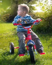 TRICYCLE YORK RED