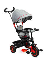 TRICYCLE BUZZ RED