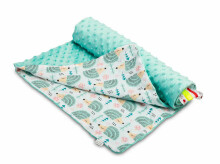 Light Minky Blanket - Hedgehogs mint 75x100