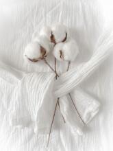 Bebe Basic Muslin Art. 051 Cotton muslin gauze swaddle 1 pc, 80x80 cm