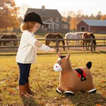 Toi Toys Horse Art.B-2595 Šūpūlītis/zirdziņš lēkšanai un balansam
