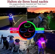 KABB LED Collar for Dogs and Cats Red