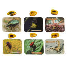 Ikonka Art.KX3579 Archaeological excavation set insects in amber