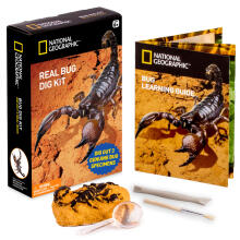 NATIONAL GEOGRAPHIC rinkinys Bug Dig Kit, NGBUG