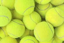 Bebe Basic Tennis Ball Art.196021 Теннисные мячи  3 шт.