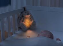 Zazu Ro Art.ZA-RO-03 White Soft toy with night light