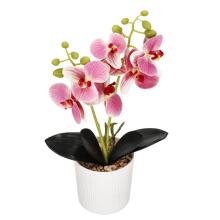 Dirbtinė orchidėja Springos HA7424