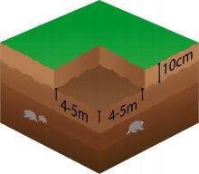 Mutivastane võrk Springus AN0003 30g/m2 2x50 m