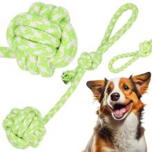 Dog toy Springos PA0279