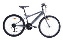 Men's bicycle 24'' ''TORINO'', gray