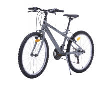 Men's bicycle 24'' ''TORINO'', gray