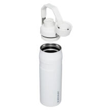 Thermobottle The Aerolight IceFlow vandens butelis Fast Flow 0,6 l, baltos spalvos