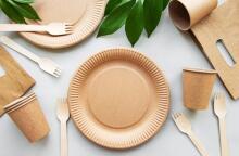 Kraft paper plates Go Green &Oslash;22cm 20 pcs/0,20kg