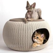 Beeztees koerapesa Cozy Pet Home, kreem